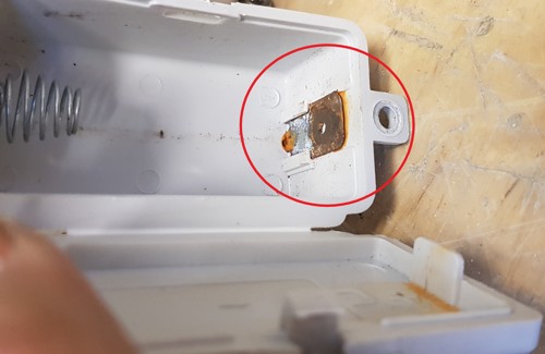 froukje klop 2.jpg (1)